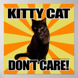 Poster Le chat de Kitty ne s'inquiètent pas