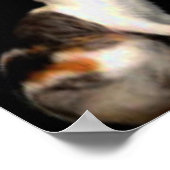 Poster Le chat de la mère de Whistler (Coin)