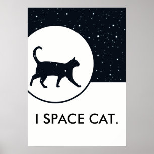 Poster Le chat de l'espace tient le premier rôle le texte