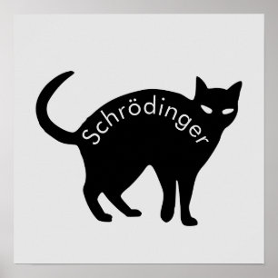 Poster Le chat de Schrödinger