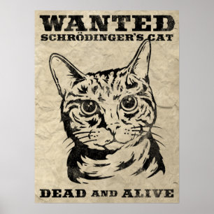 Poster Le chat de Schrodinger a voulu des morts ou vivant