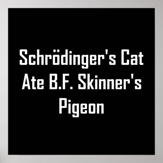Poster Le chat de Schrodinger et le pigeon de B.F. Skinne (Devant)
