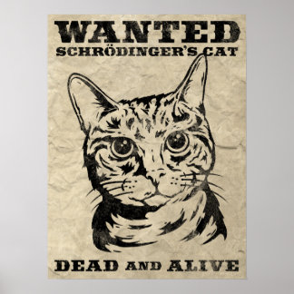 Poster Le chat de Schrodinger voulait mort ou vivant