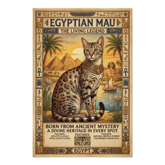 Poster Le Chat égyptien Mau (Devant)