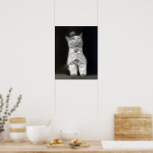 Poster Le chat élégant, 1906. Photo vintage (Cuisine)