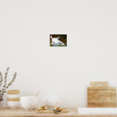 Poster Le Chat et la mouche (Cuisine)