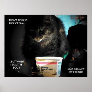 Poster Le chat le plus intéressant au monde