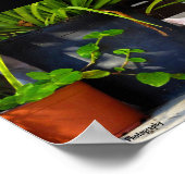 Poster Le Chat Parmi les Plantes (Coin)