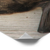 Poster Le Chat Qui Est Venu Petit-Déjeuner (Coin)