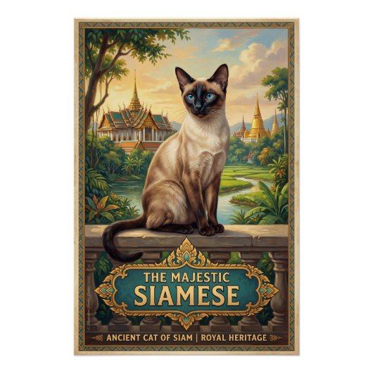 Poster Le chat siamois (Devant)