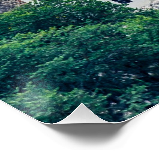 Poster Le château de Bran (Coin)