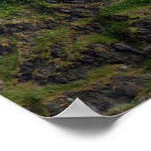 Poster le château d'edinburgh écossaise (Coin)