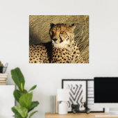 Poster Le Cheetah (Bureau à domicile)