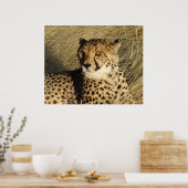 Poster Le Cheetah (Cuisine)