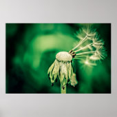 Poster Le chef (Devant)