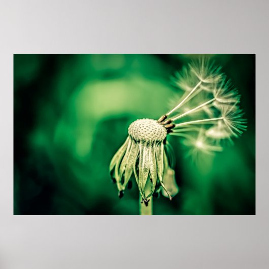 Poster Le chef (Devant)