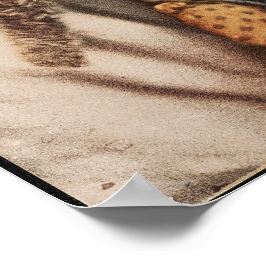 Poster Le Chef Apache James A. Garfield. (Coin)