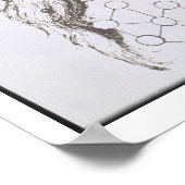 Poster Le chef d'Adam Kadmon, copie d'une illustration de (Coin)