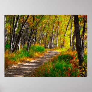 Poster Le chemin