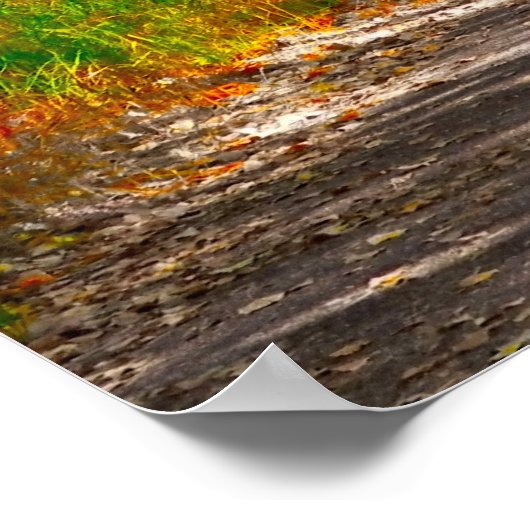 Poster Le chemin (Coin)