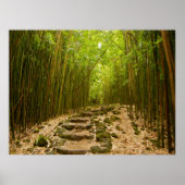 Poster Le chemin (Devant)