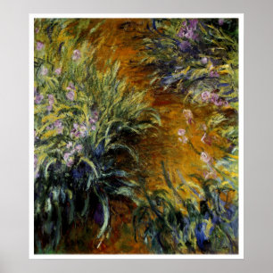 Poster Le chemin à travers les Irises