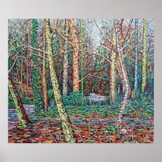 Poster Le chemin de janvier (Devant)