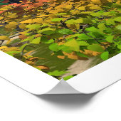 Poster Le Chemin De La Paix (Coin)