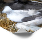 Poster Le Chemin des Mères (Coin)