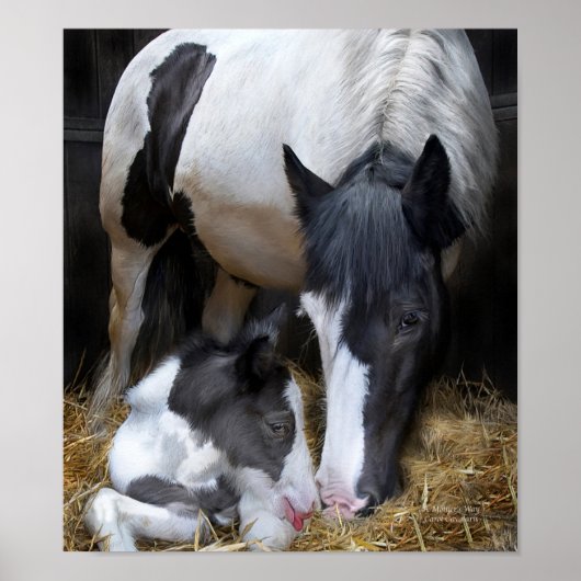 Poster Le Chemin des Mères (Devant)
