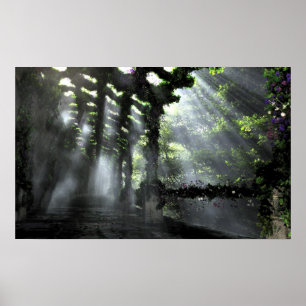 Poster Le chemin ombragé