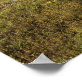 Poster Le chemin vers la vue sur le lac Caché (Coin)