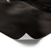 Poster Le chercheur (Coin)