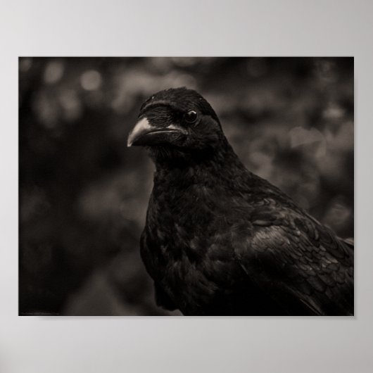 Poster Le chercheur (Devant)