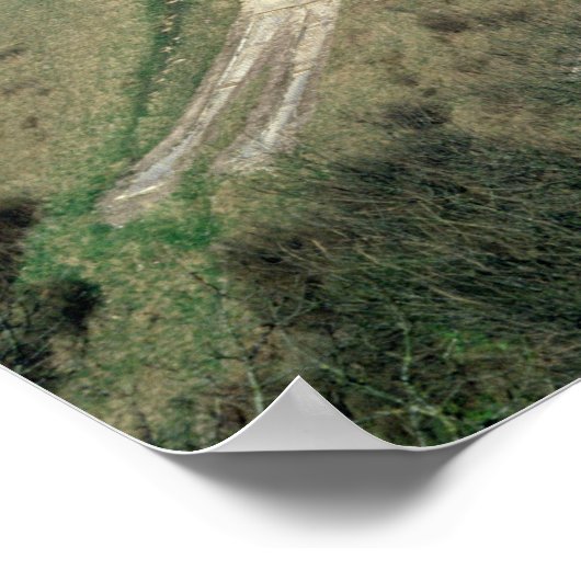 Poster Le cheval blanc Westbury (Coin)