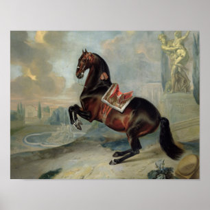 Poster Le cheval de la baie sombre "Valido"