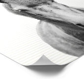 Poster Le cheval gris, noir et blanc photo (Coin)