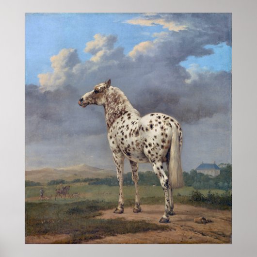 Poster Le Cheval Piebald (Devant)