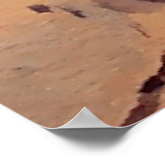 Poster Le cheval Pinto par Edward Borein (Coin)