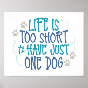 Poster Le chien d'amusement cite - la vie est trop courte