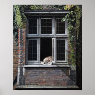 Poster Le chien de Bruges