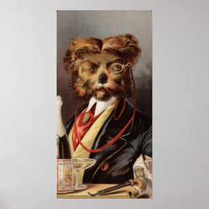 Poster Le chien de classe aristocratique