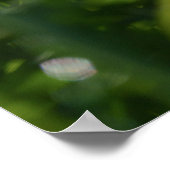 Poster Le chien des Prairies et la floraison pourpre (Coin)