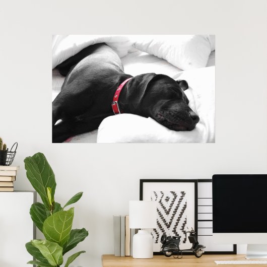 Poster Le chien endormi (Bureau à domicile)