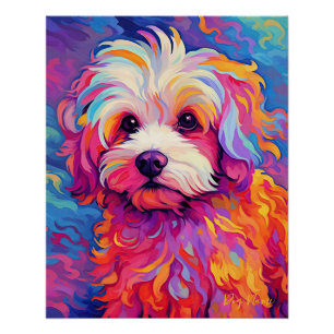 Poster Le Chien Maltais 001 - Zetton Ziana