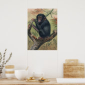 Poster Le chimpanzé de Joseph Wolf (Cuisine)
