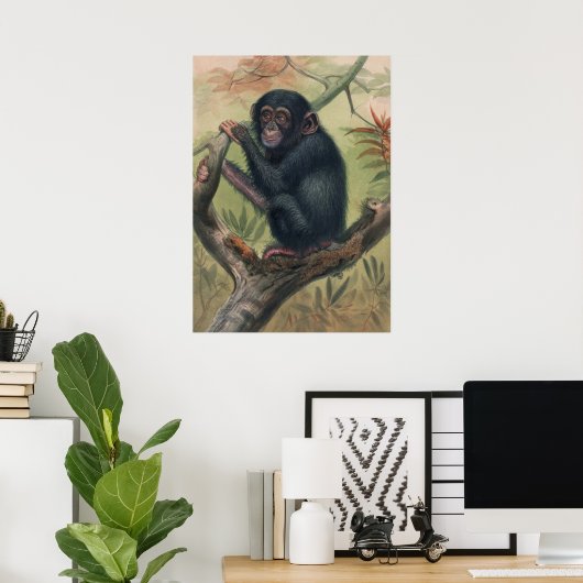 Poster Le chimpanzé de Joseph Wolf (Bureau à domicile)