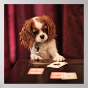 Poster Le chiot joue aux cartes