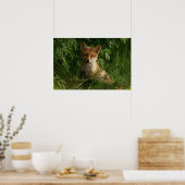 Poster Le chou renard dans une forêt verte (Cuisine)