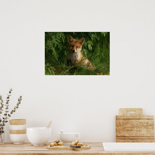 Poster Le chou renard dans une forêt verte (Cuisine)
